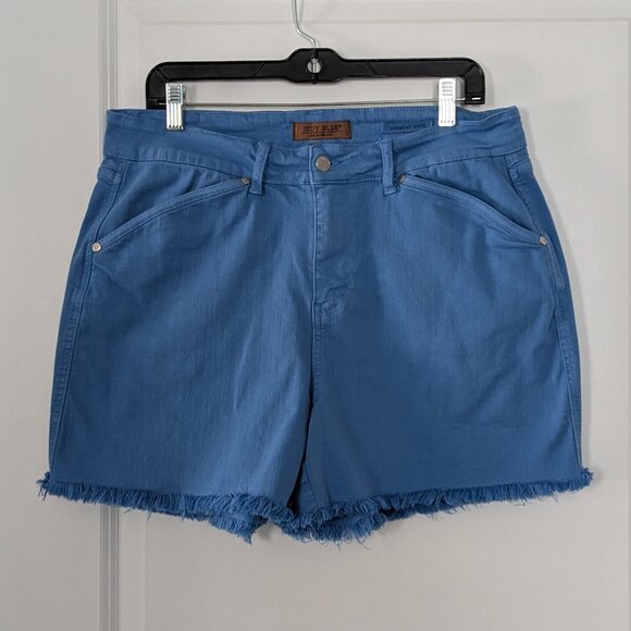 Judy Blue Shorts Women's 1XL Sky Blue Fray-Hem Garment Dyed Shield Pockets - Picture 3 of 16
